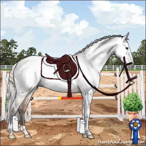 Horse Color:Gray Silver Brown Dun Tobiano Appaloosa 