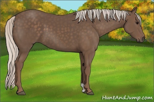 Horse Color:Silver Black 