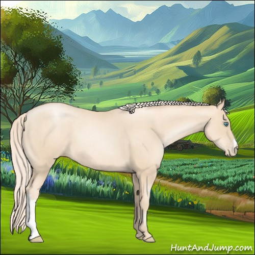 Horse Color:Gold Cream Champagne Pearl 