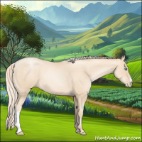 Horse Color:Gold Cream Champagne Pearl 