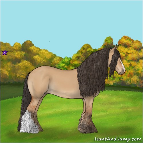 Horse Color:Bay Dun 