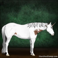 Horse Color:Bay Splash Tobiano Appaloosa 