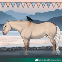 Horse Color:Chocolate Silver Bay Dun 