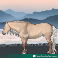 Horse Color:Chocolate Silver Bay Dun 