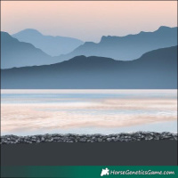 Horse Color:Chocolate Silver Bay Dun 