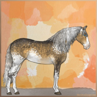 Horse Color:White Spotted Silver Buckskin Dun Mushroom Splash 