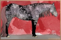 Horse Color:Void Watercolor Buckskin Ice Pearl Onyx Tobiano