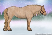 Horse Color:Red Roan 