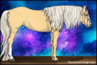Horse Color:Palomino 