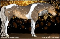 Horse Color:Silver Smoky Black Tobiano 