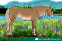 Horse Color:Chocolate Palomino Roan Dun Frame Rabicano 