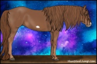 Horse Color:Chestnut Splash Frame 