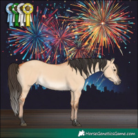 Horse Color:Bay Dun 