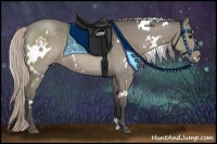 Horse Color:White Spotted Silver Grullo 