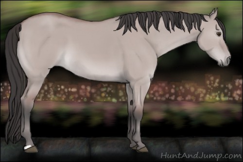 Horse Color:Platinum Bay Dun 