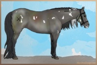 Horse Color:White Spotted Black 