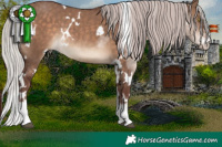 Horse Color:White Spotted Chocolate Silver Bay Dun Sabino Rabicano