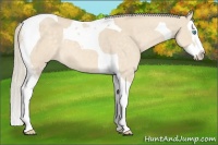 Horse Color:Cremello Dun Sabino Splash Tobiano