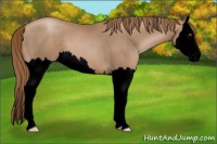 Horse Color:Void Liver Red Roan Pearl Splash 