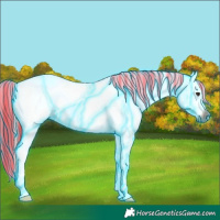 Horse Color:Gray Painted Thunderstruck Chestnut Near Leopard Rabicano 