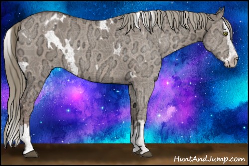 Horse Color:White Spotted Liver Red Dun Ice Mushroom Splash Appaloosa Rabicano 