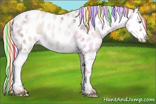 Horse Color:Painted Silver Classic Champagne Ice Pearl Dun Splash Appaloosa Rabicano 