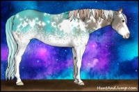 Horse Color:White Spotted Liver Red Dun Splash 