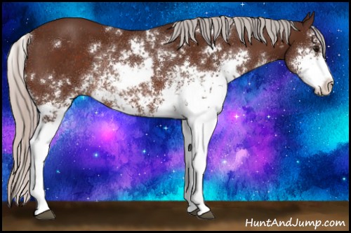 Horse Color:Silver Bay Sabino Rabicano 