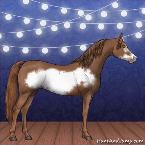 Horse Color:Chestnut Frame 