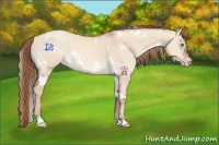 Horse Color:White Spotted Gold Champagne Dun Rabicano 