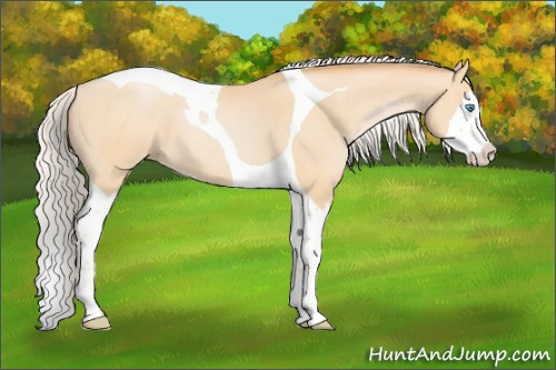 Horse Color:Silver Buckskin Pearl Splash Tobiano 