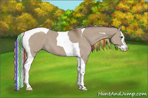 Horse Color:Painted Silver Grullo Splash Tobiano 