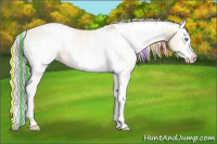 Horse Color:Painted White Spotted Silver Sable Cream Champagne Pearl Dun Splash 