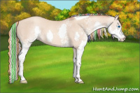 Horse Color:Painted White Spotted Silver Sable Champagne Dun Splash Tobiano 