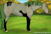 Horse Color:Void Watercolor Classic Champagne Tobiano Rabicano 