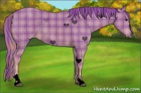 Horse Color:Void Watercolor Plaid  Chestnut Sabino Rabicano 