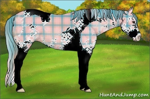 Horse Color:Watercolor Plaid  Chestnut Splash Tobiano 