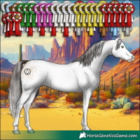 Horse Color:White Spotted Sable Champagne Dun Sabino Splash Rabicano