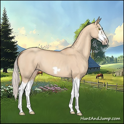 Horse Color:Silver Classic Champagne Dun Splash Frame 