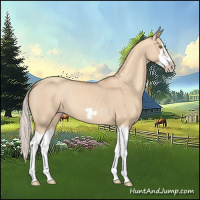 Horse Color:Silver Classic Champagne Dun Splash Frame