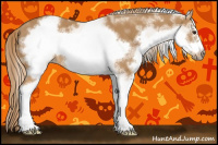 Horse Color:White Spotted Chestnut Sabino Frame 