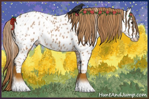 Horse Color:Chestnut Near Leopard 