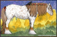 Horse Color:Chestnut Near Leopard 