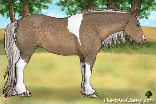 Horse Color:Chocolate Palomino Tobiano 