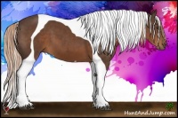 Horse Color:Liver Chestnut Tobiano 