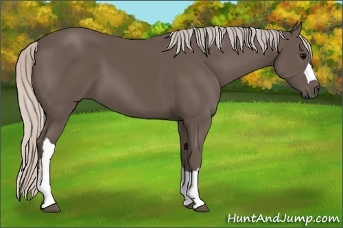 Horse Color:Silver Black 