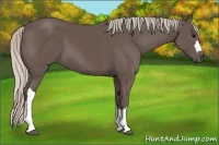 Horse Color:Silver Black 