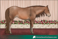 Horse Color:Brown Pearl 