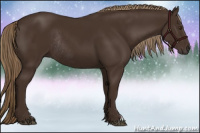 Horse Color:Liver Chestnut Rabicano 