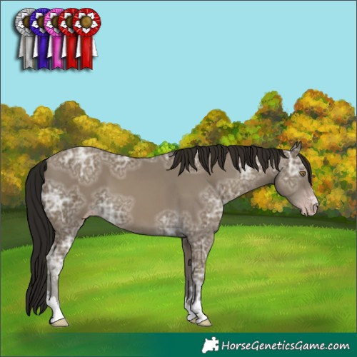 Horse Color:Gray Classic Cream Champagne Ice 
